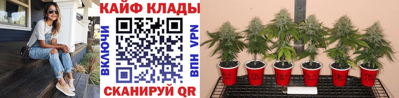 Где купить наркотики Тырныауз Гашиш Конопля мега вход Меф Героин