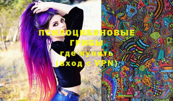 PSILOCYBIN Абаза