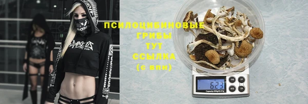 PSILOCYBIN Абаза