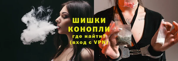 PSILOCYBIN Абаза