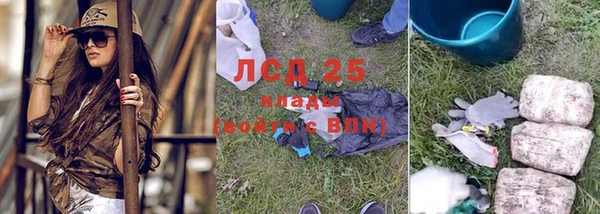 винт Пестово